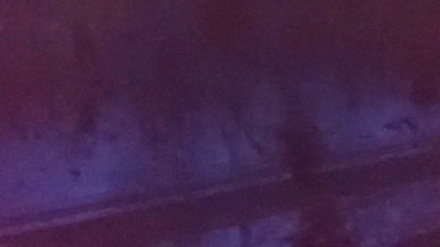 Подъем в Карпаты участок Ясиня - Квасы, прекрасные пейзажи из окна поезда
