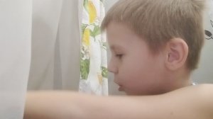 разновидность кабачков