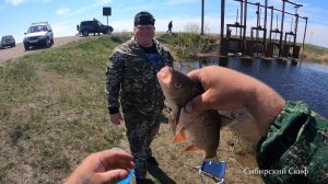 ЯЗЬ! РЫБА МОЕЙ МЕЧТЫ! ЯЗЬ ГНЁТ УДОЧКУ