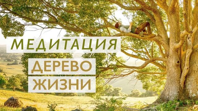 Утренняя медитация для улучшения самочувствия | Дерево Жизни и укрепление здоровья