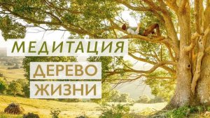 Утренняя медитация для улучшения самочувствия | Дерево Жизни и укрепление здоровья