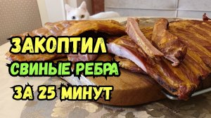 Копчёные СВИНЫЕ рёбрышки! Холодное копчение с ЭЛЕКТРОСТАТИКОЙ! Славянские коптильни!