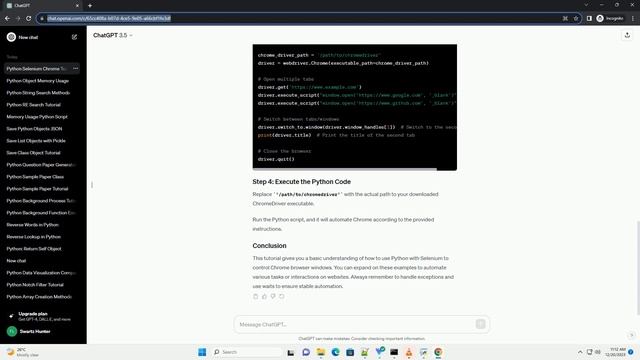 python selenium chrome windows