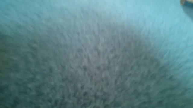 Приключения Малюток Пони! 4 эпизод! смотреть онлайн