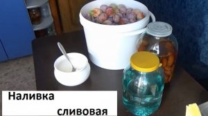 Сливовая наливка. Спиртовая настойка на сливе