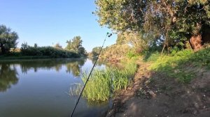 Рыбалка как она есть, выезд в пойму Волгоградской области