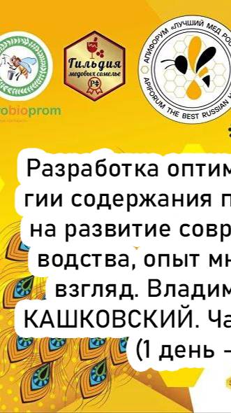 КАШКОВСКИЙ Владимир Георгиевич - АпиФорум 2024. Часть 1. Трансляция (1 день - 11.10.24)