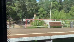 Станция Заря Московская область