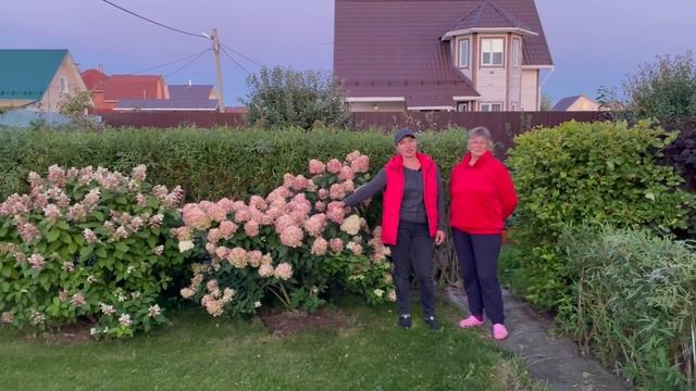 Русская ива. Как украсить участок ивами. В гостях у Галины. смотреть онлайн