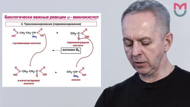Лекция 14. a-Аминокислоты, пептиды, белки