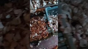 Дробилка (лущилка) чеснока самодельная