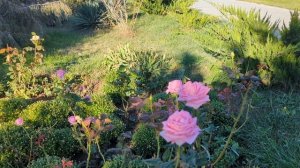 Осенняя Евпатория 2024. Красивый и ухоженный мемориальный комплекс "Красная горка".