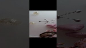 Я очень устала тогда 🥱