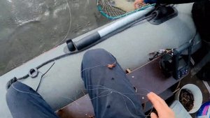 ФОРВАТЕРНЫЙ ЛЕЩ НА КОЛЬЦО (ЯЙЦА) / РЫБАЛКА С ЛОДКИ НА ЛЕЩА