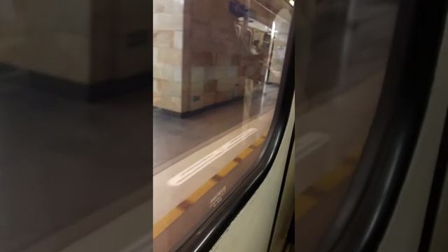 Санкт-Петергбургский метрополитен двери поездов