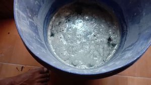 AGAR PADI GAK RUBUH || MANFAAT SEMEN UNTUK TANAMAN PADI