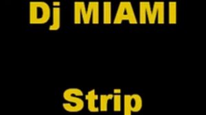dj miami strip.mp3.wmv