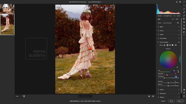 Adobe CameraRaw 13 | കളർഗ്രേഡിംഗ് ഇനി വേറെ ലെവൽ | What's New in Camera Raw смотреть онлайн