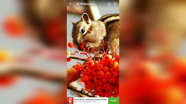 BEST AMAZING 4K & 3D LIVE WALLPAPERS SET YOUR [ ANDROID PHONES ] Hindi-हिंदी смотреть онлайн