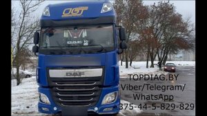Отключение EGR, сажевого фильтра и мочевины Adblue DAF XF106 2017 г.в.