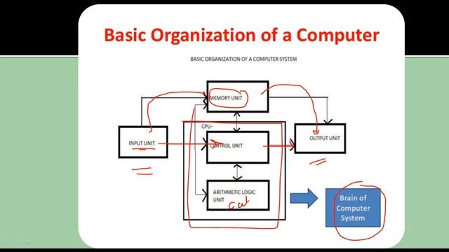 Computer Fundamentals|1-1|C Programming|Theory|Input Process Output Cycle|Basic Computer Course