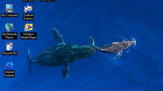 Windows Me Startup and Shutdown with the Microsoft Bing wallpaper of the day 24th March 2021 смотреть онлайн