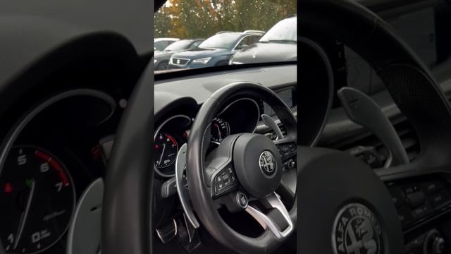 Alfa Romeo stelvio для заказчика смотреть онлайн