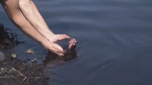 Спасите реку Томь!  Обращение жителей юга Кузбасса к губернатору Кемеровской области Середюку И.В.