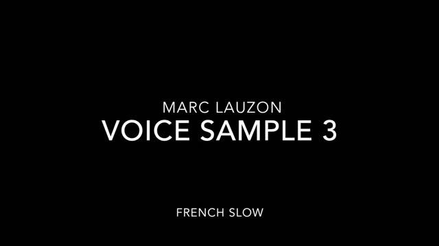 voice sampler 3 french slow смотреть онлайн