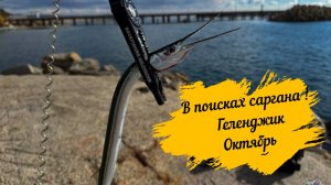 В поисках саргана! Геленджик Октябрь