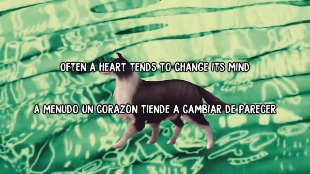 Mac DeMarco - This Old Dog ( Subtitulada al español / Lyrics ) смотреть онлайн
