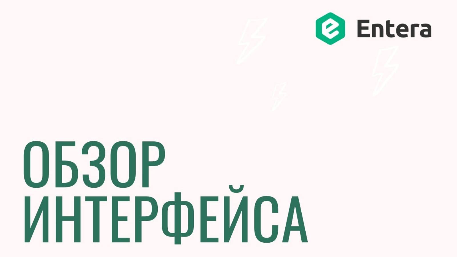 Сервис Entera –Интерфейс сервиса распознавания первички