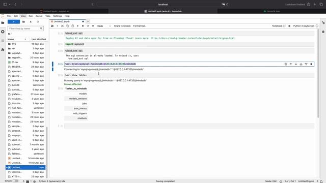 How to Connect Jupyter Notebook with MindsDB Build AI with SQL MacOS or Ubuntu смотреть онлайн
