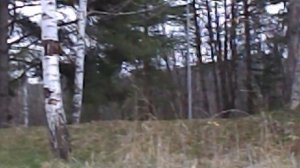 DSCN5101Кисловодск Санаторий ПИКЕТ 2022 ГОДЫ