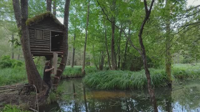 Постройка уютного домика на дереве над водой. Поймай и приготовь. Ночь, Выживание - 8