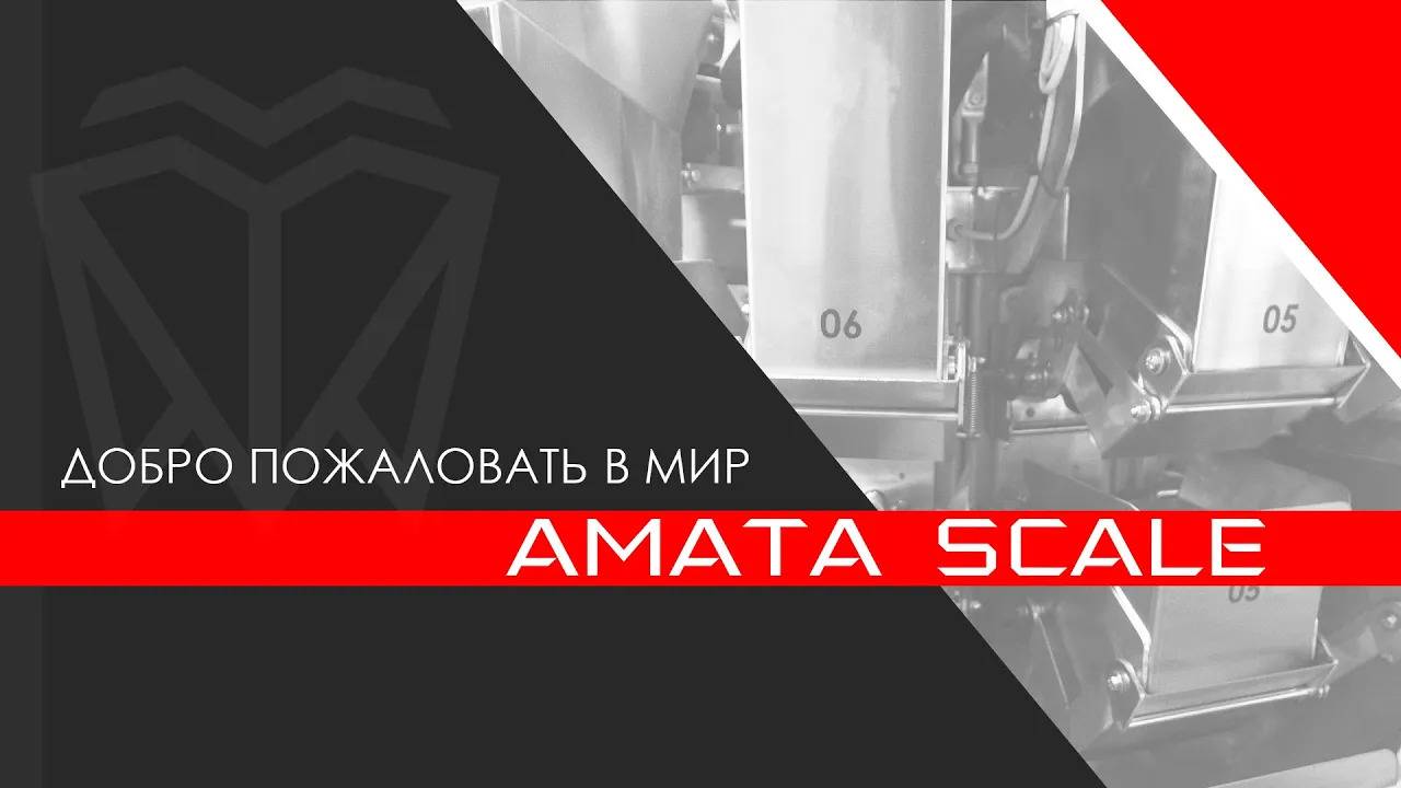 Добро пожаловать на канал AMATA SCALE