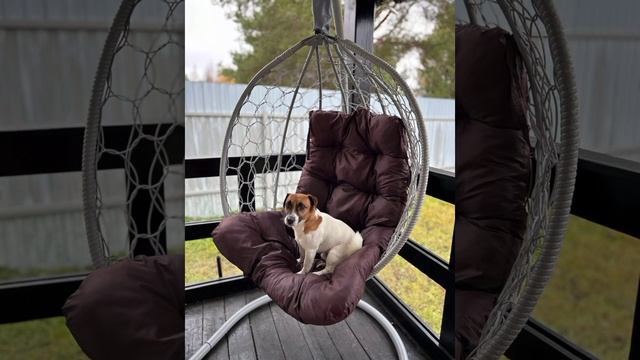 Король😎 смотреть онлайн