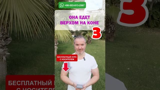 Тренажёр 116: Освойте английский язык за несколько уроков