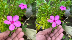 Oneplus Nord 3 5G VS IPhone 13 Camera Comparison