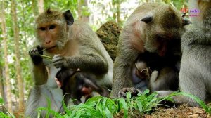 Million scare! Poor baby Daniela seizure cry fear Dolly mistreat her| Pity Daniela cry for mom help