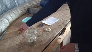 древесная паста( пульпа) виды и свойства- ответы на вопросы