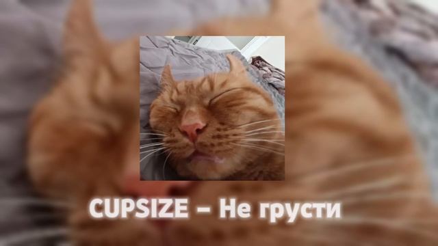 ВСЕ ТРЕКИ CUPSIZE ПЛЕЙЛИСТ С КАПСАЙЗ