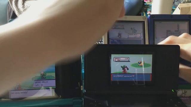 3.5 Live shinies during Safari Week 2022! смотреть онлайн