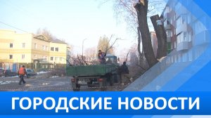 Городские новости 18 октября 2024