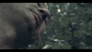 ландыши "мир дверь мяч"