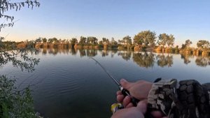 Первое знакомство с Breaden GRF Trevalism Kabin 606CS TIP