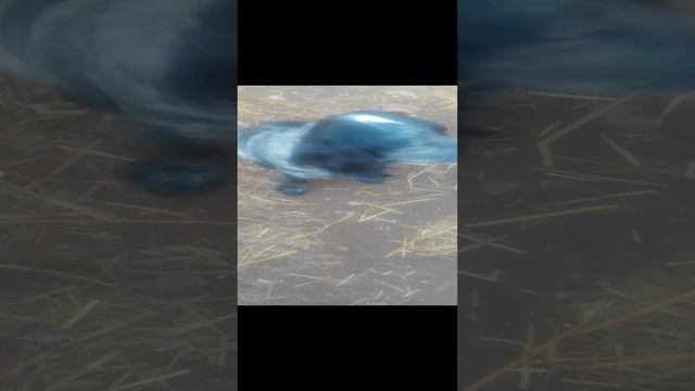 Ей исполнилось 9 месяцев
