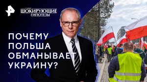 Почему Польша обманывает Украину? — Самые шокирующие гипотезы (29.11.2023)