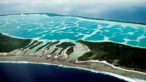 Верование и предназначение. Роберт Адамс. Духовность практикуют.