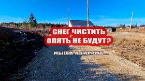 Мыши в гараже. Ответ администрации - снег зимой чистить не будут?